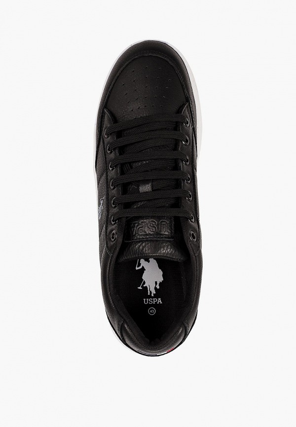 фото Кеды u.s. polo assn.