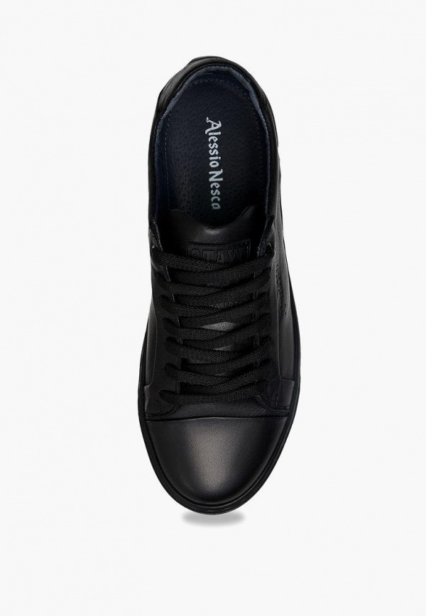 фото Кеды alessio nesca