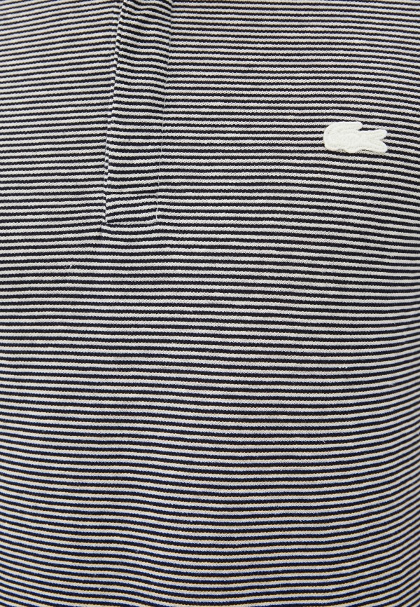 

Поло Lacoste, Синий