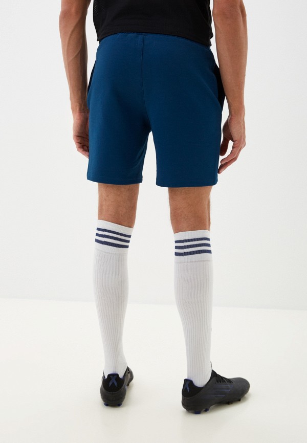 фото Шорты спортивные demix