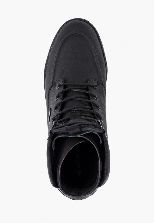 фото Кеды lacoste