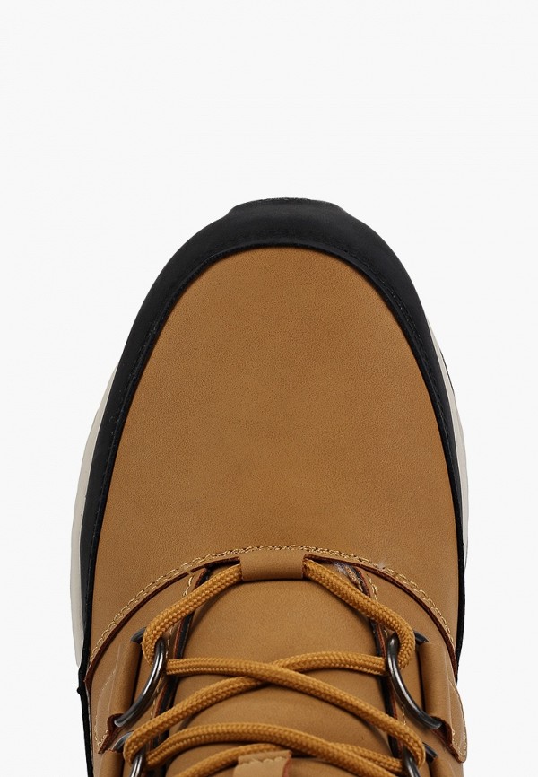 фото Ботинки shoiberg