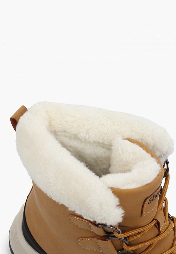 фото Ботинки shoiberg