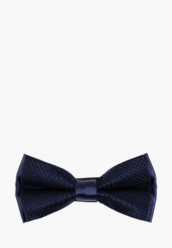 

Бабочка Pierre Lauren, Синий