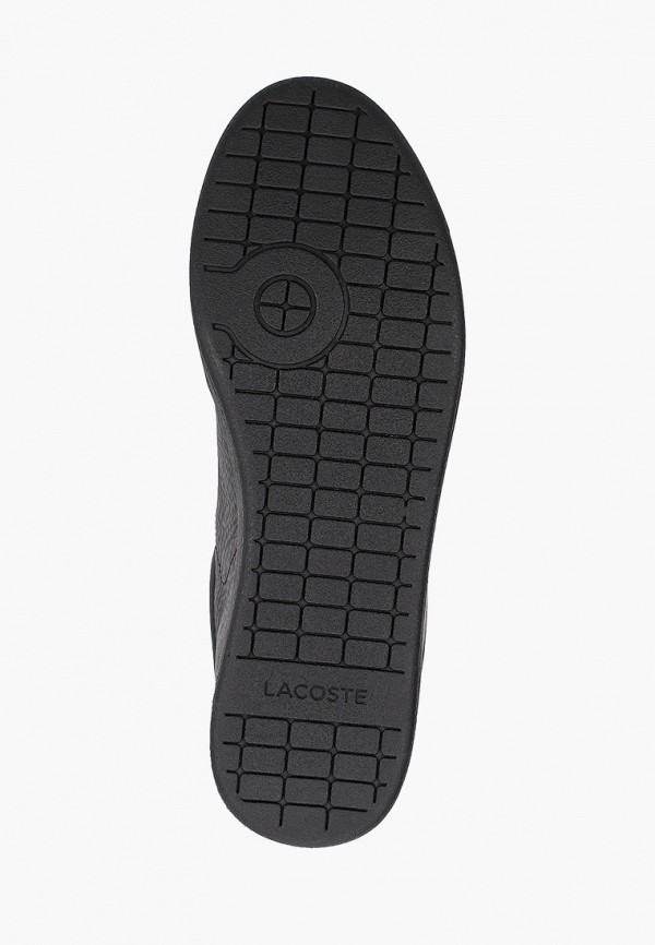 фото Кеды lacoste