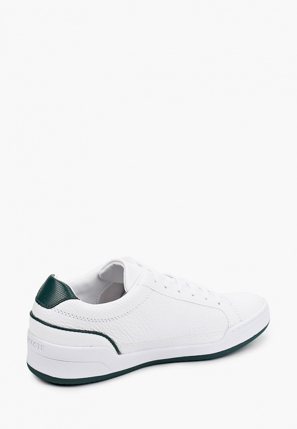 фото Кеды lacoste