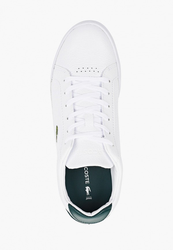 фото Кеды lacoste