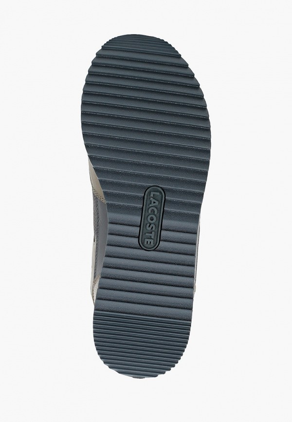 фото Кроссовки lacoste