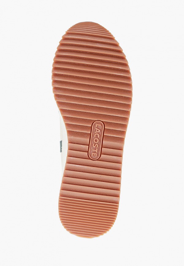 фото Кроссовки lacoste