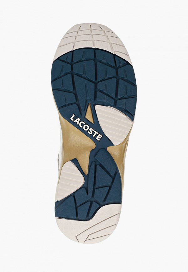 фото Кроссовки lacoste
