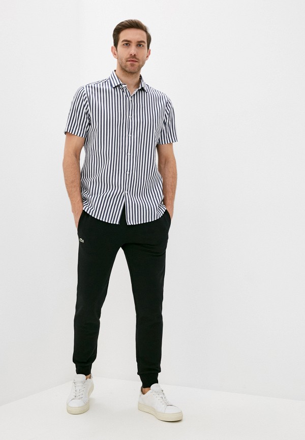 фото Брюки спортивные lacoste