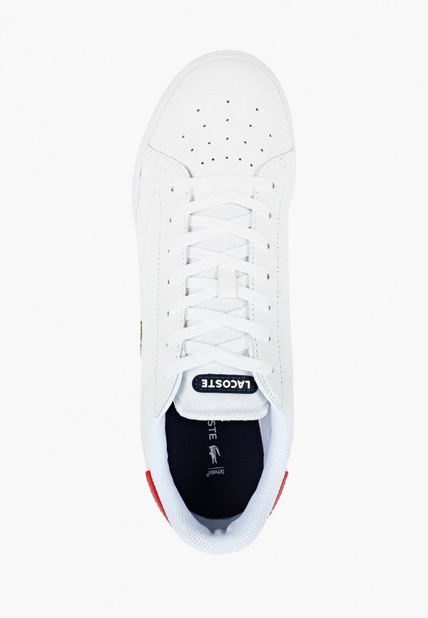 фото Кроссовки lacoste