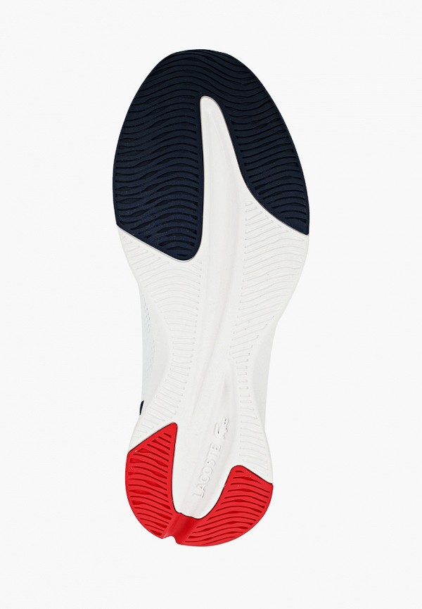 фото Кроссовки lacoste