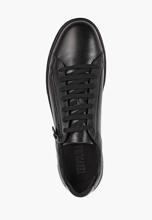 фото Кеды tervolina