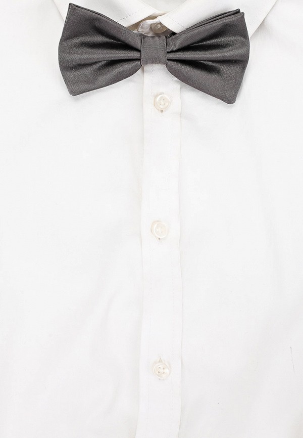 Бабочка Henderson серый, размер 00, фото 3