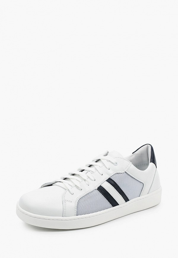 фото Кеды ralf ringer