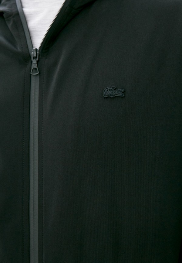 фото Толстовка lacoste