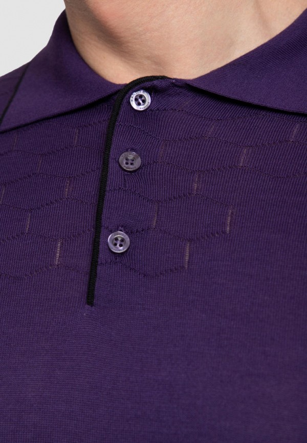 фото Поло kanzler