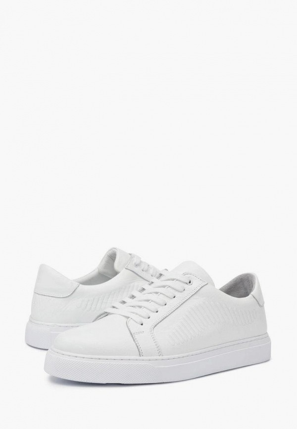 фото Кеды pierre cardin