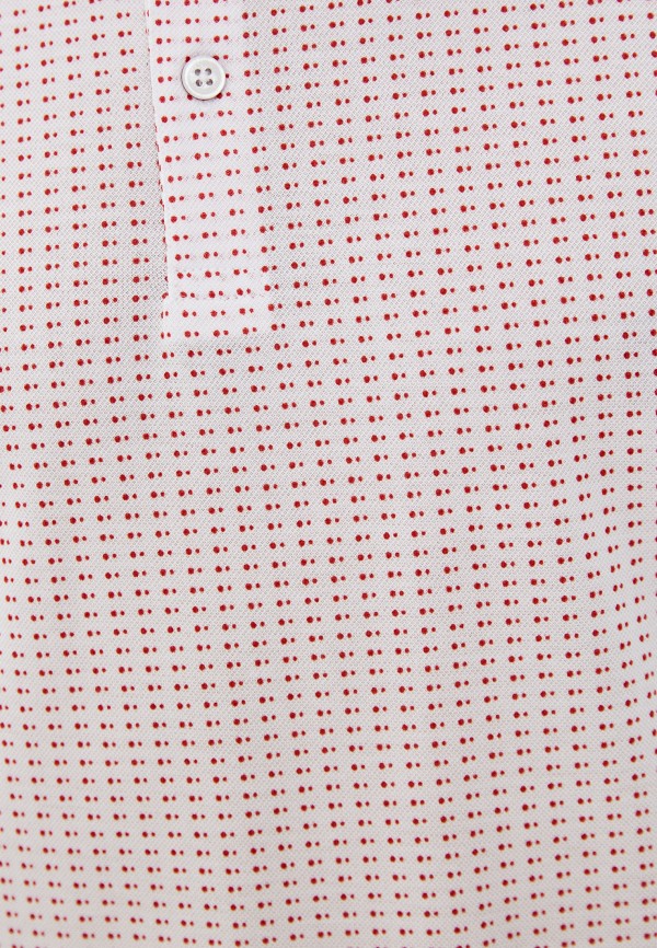 фото Поло henderson