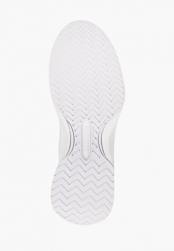 фото Кроссовки lacoste