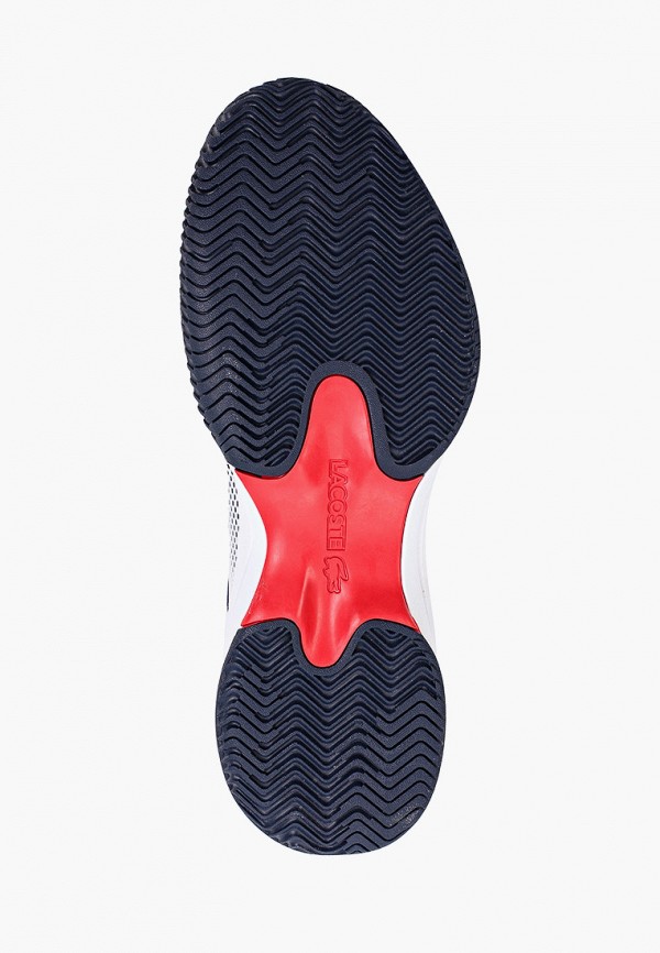 фото Кроссовки lacoste