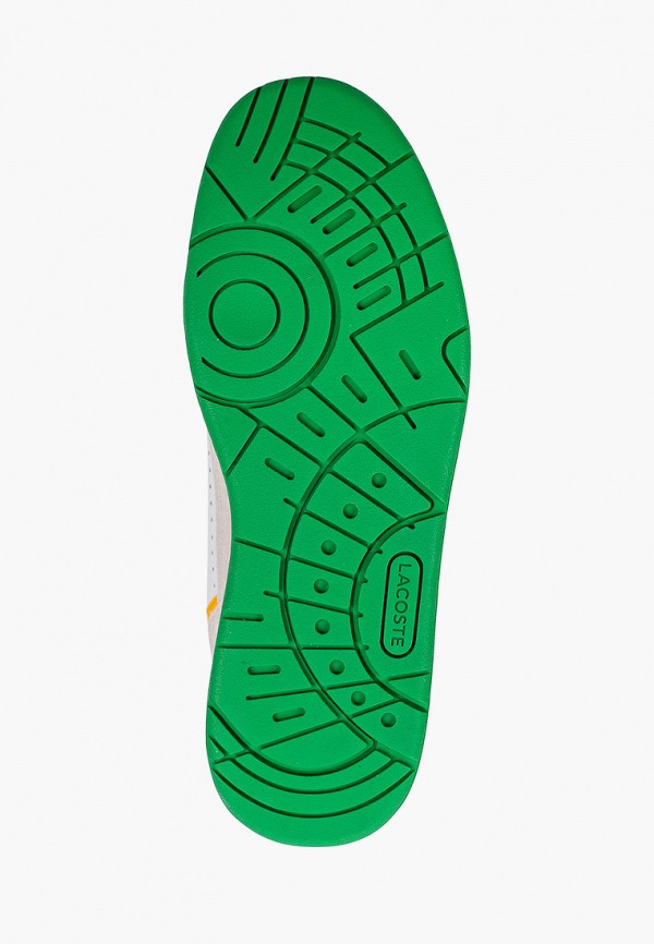 фото Кеды lacoste