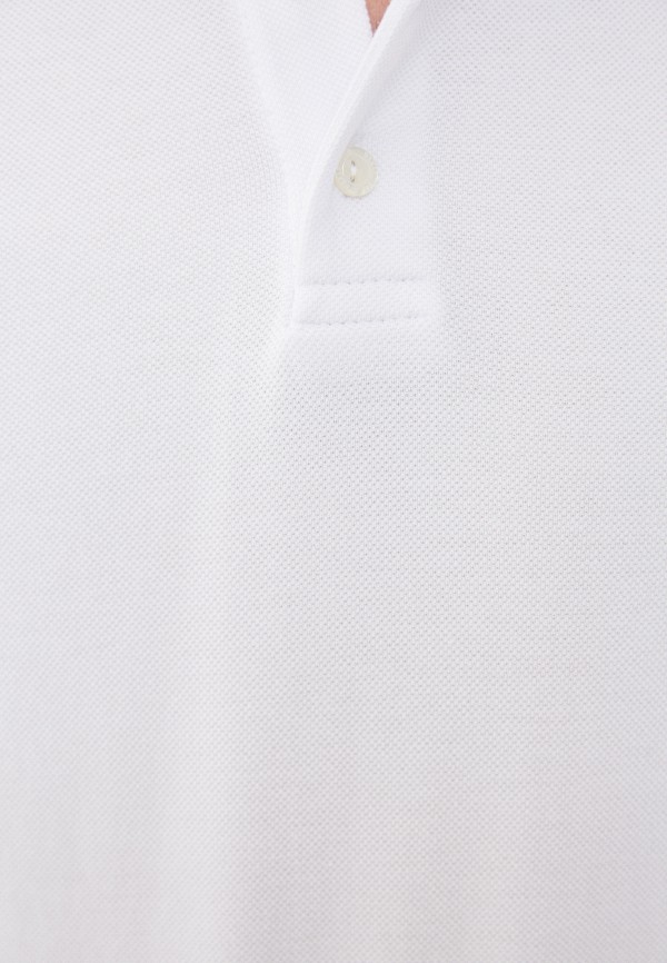 фото Поло urban tiger