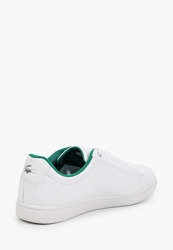 фото Кеды lacoste