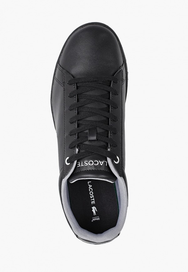 фото Кроссовки lacoste