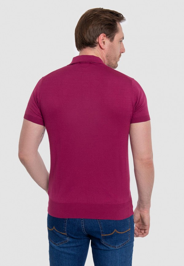 фото Поло kanzler