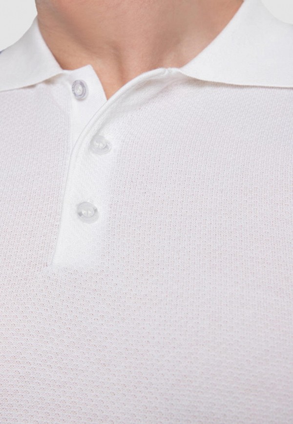 фото Поло kanzler