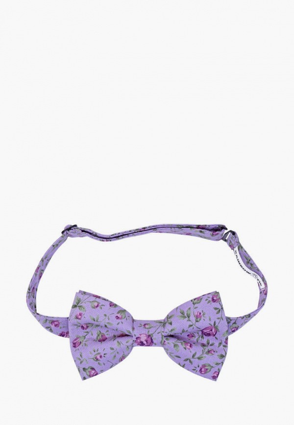 фото Бабочка и платок rainbowtie