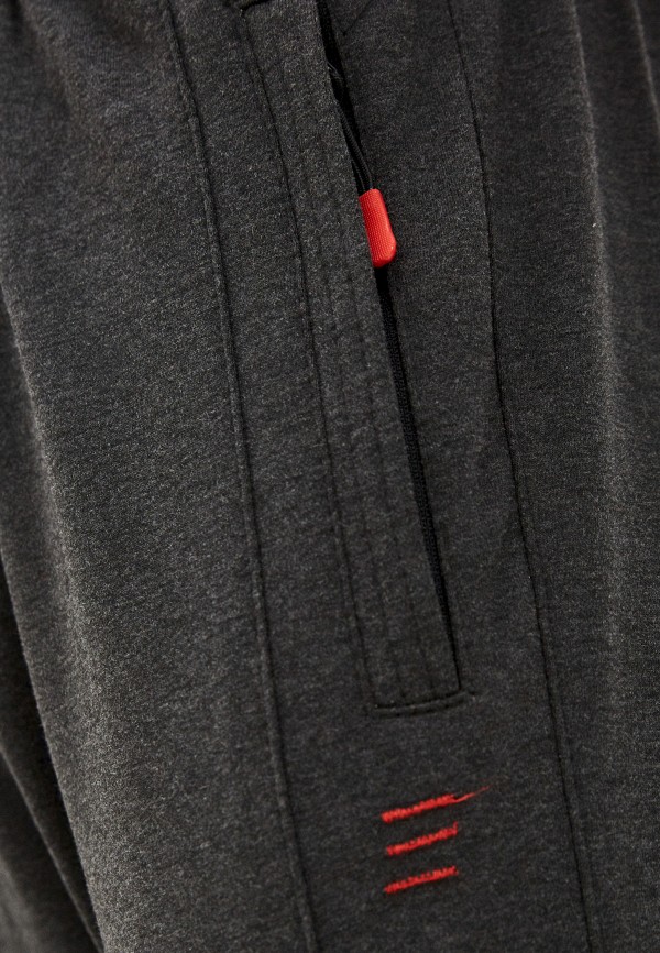 фото Брюки спортивные wild simbol