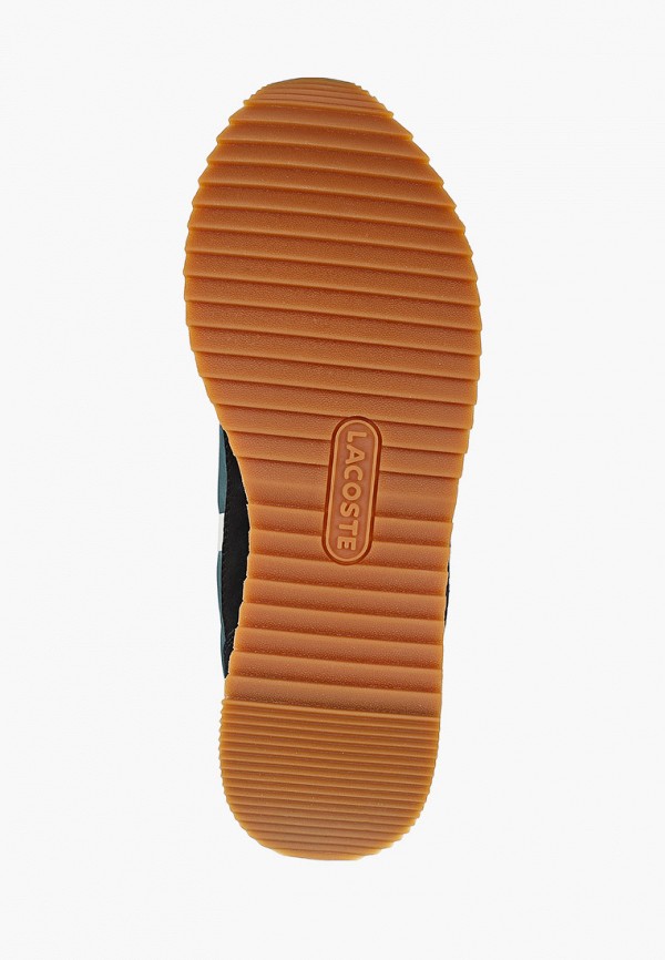 фото Кроссовки lacoste