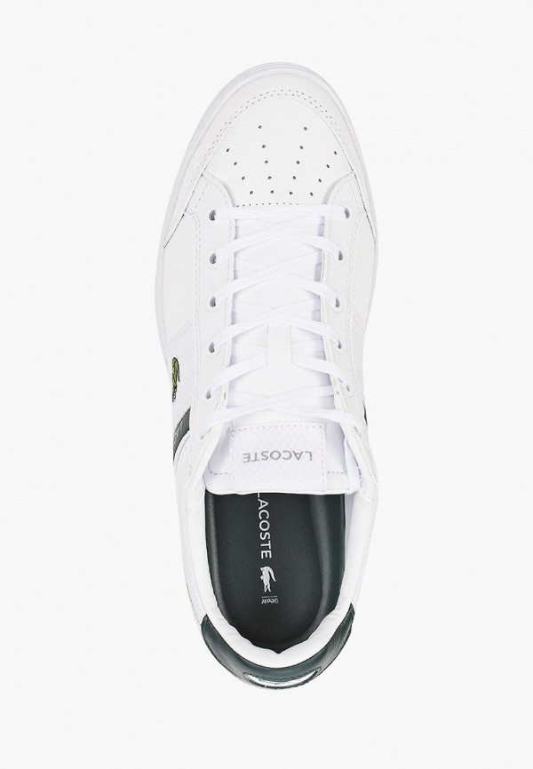 фото Кеды lacoste