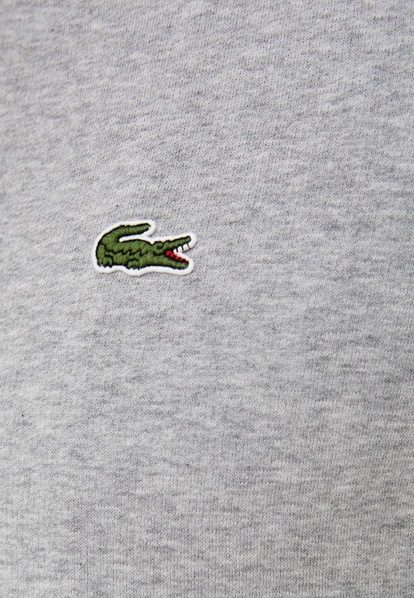 фото Толстовка lacoste