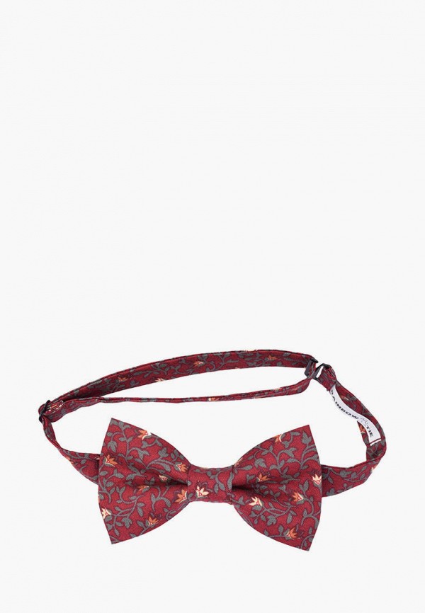 фото Бабочка и подтяжки rainbowtie