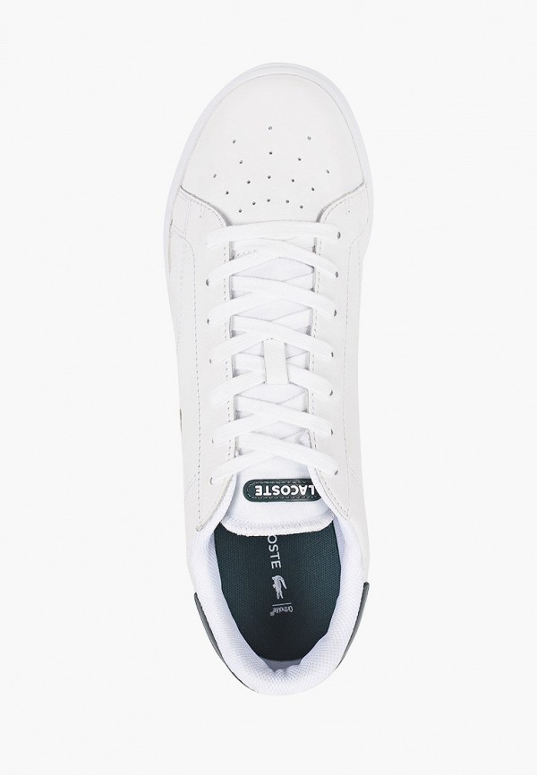 фото Кроссовки lacoste