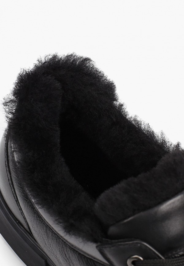 фото Кеды basconi