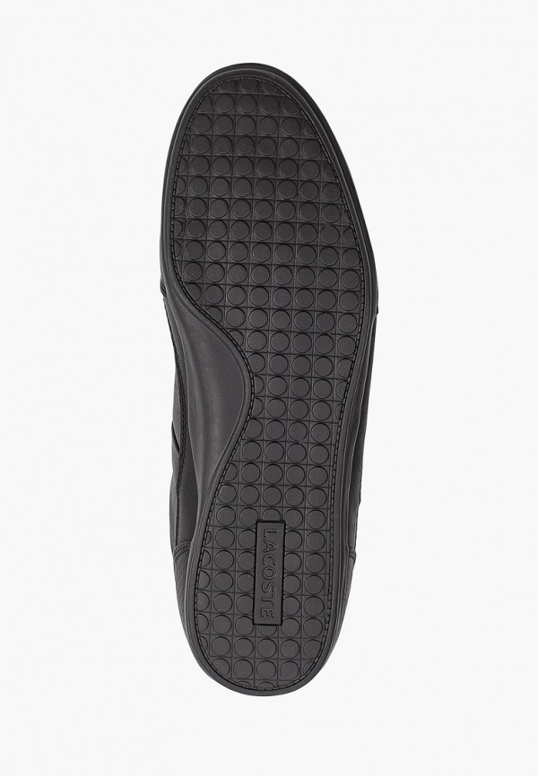 фото Кроссовки lacoste