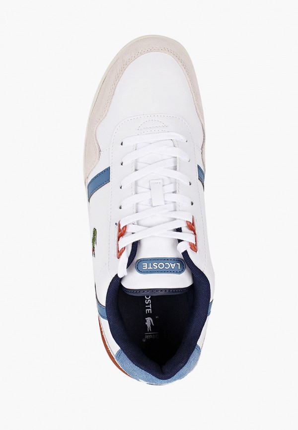 фото Кеды lacoste