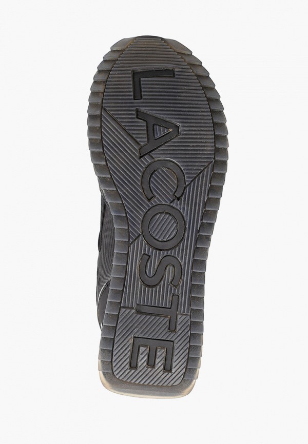 фото Кроссовки lacoste