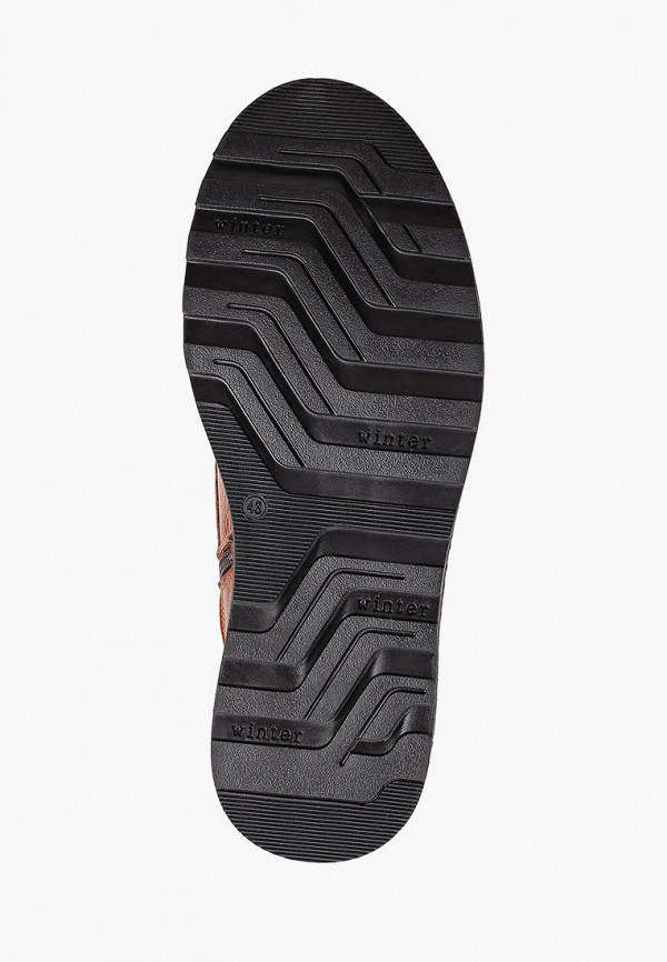 фото Ботинки shoiberg