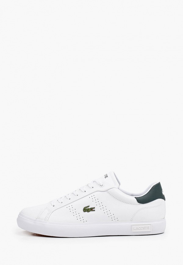 фото Кеды lacoste