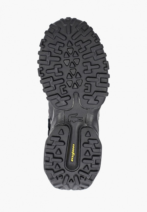 фото Кроссовки lacoste