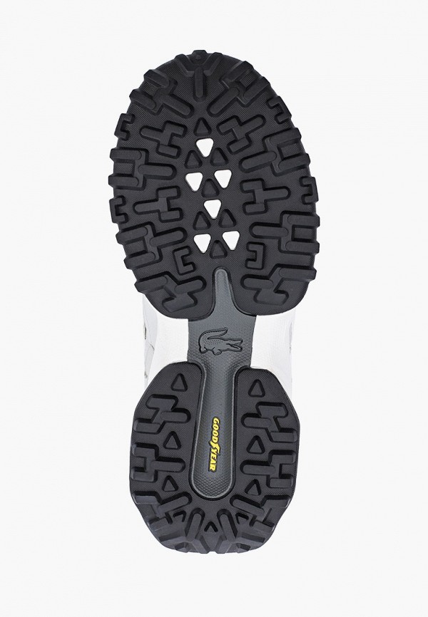 фото Кроссовки lacoste