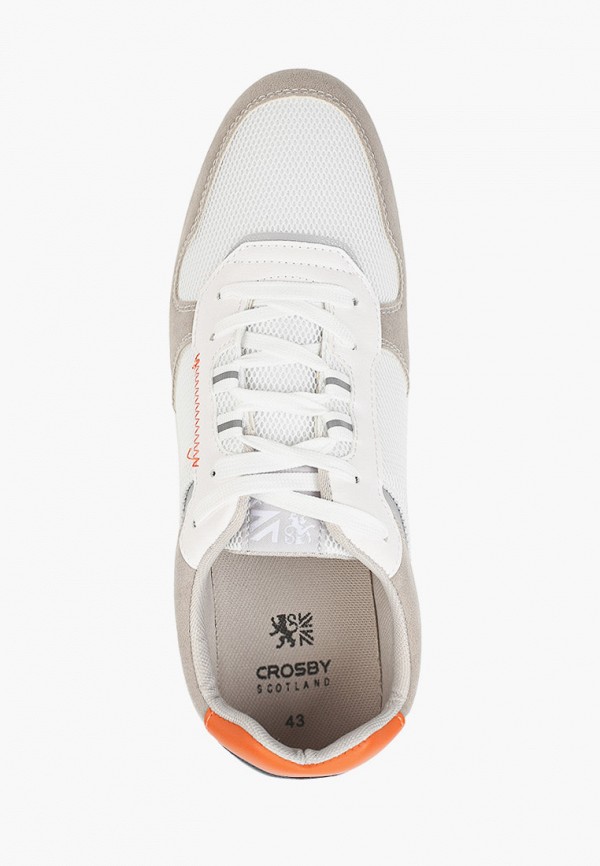 фото Кеды crosby