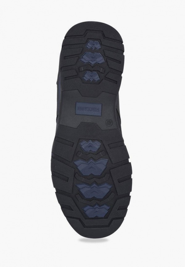 фото Кроссовки t.taccardi