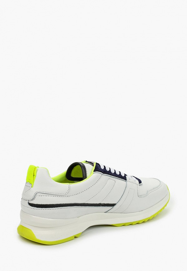 фото Кроссовки westriders
